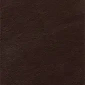 Dark brown leather texture with a pronounced grain, matte finish, and subtle creases; includes text “borzalino > leather (f6) > seta > seta – 32920”.