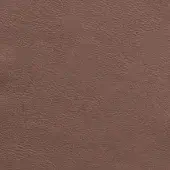 Brown leather texture with granular grain, medium tone, matte finish, densely packed surface, identified as Borzalino seta leather (f6) 71178.