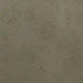 Textured leather surface in rust tone, displaying granular texture and mottled color variations with a distressed, tactile quality.