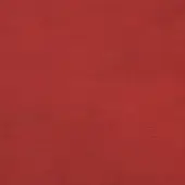 Red leather texture with a granular, pebbled surface and matte finish, displaying a warm terracotta hue and consistent, dense composition.