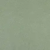 Distressed leather texture, light sage green, with a dense network of irregular bumps and a matte, uniform finish.