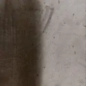 Textured diagonal composition of brown and beige tones, displaying vertical grain and granular textures with subtle streaks, suggesting weathered leather.