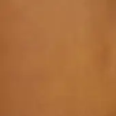 Tanned leather texture, golden-brown color, mottled grain pattern; vegetable-tanned Tuscania leather sample with subtle creases.