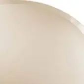 Bronze circular mirror with a brushed metallic rim, cropped to showcase reflective surface and warm tonal variations against a white backdrop.