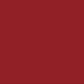 Deep red matte color field, uniform tone resembling RAL 3002, simple abstract composition with even diffuse lighting and no texture.