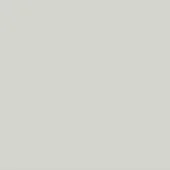 Pale gray color swatch, consistent muted tone resembling whitewash ral 9002, flat uniform surface, even diffuse studio lighting.