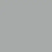 Titan grey solid color background, matte finish, uniform tone, smooth surface, even lighting, simple composition, flat uninterrupted expanse.