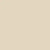 Warm beige matte surface, uniform color, neutral background, simple composition, creamy off-white tone, plain texture, solid fill, flat plane.