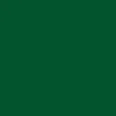Deep forest green color field, matte finish, uniform tone, solid background, digital swatch, consistent hue, flat color presentation, no texture.