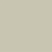 Cool gray color plane, consistent surface, subtle green undertones, diffused lighting, neutral composition, miniforms fenix grigio efeso palette.