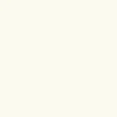 Bianco ncs s0205 y matte lacquer surface, uniformly pale ivory, smooth finish, minimalist composition, even diffuse lighting.