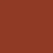 Pompei NCS S4550 Y70R lacquer surface, matte reddish-brown finish, uniform color field, studio lighting, abstract composition.