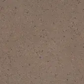 Cemento concrete texture, nocciola finish, medium-brown with granular inclusions of dark brown, beige, and black, matte and porous surface.