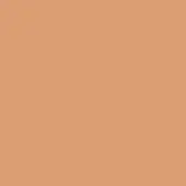 Albicocca color sample, matte polypropilene surface, solid orange-brown hue, miniforms identification text at bottom right corner.