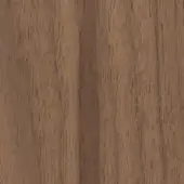 Canaletto walnut wood texture, medium-brown tone, vertical linear grain pattern, smooth matte finish, tight even density.