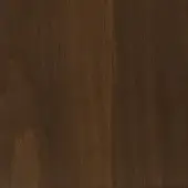 Heat-treated oak wood texture displays dark brown tones, vertical grain, subtle knots, and a smooth matte finish with linear plank structure.