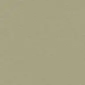 Beige distressed texture with fine wrinkles, a mottled flax tone, and matte finish evoking aged, durable synthetic leather appearance.