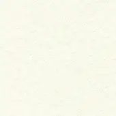 White PVC texture with distressed pattern, fine lines, and matte finish; seamless, neutral tone suitable for upholstery or backgrounds.