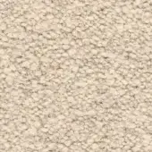 Cream teddy fabric texture with looped pile, uniform color, and subtle height variation; product code “frag > fabric > cat. c > 61 teddy > cream 61 0102”.