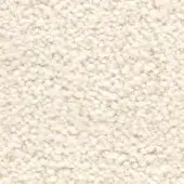 Creamy white nubby fabric texture with densely packed, rounded fibers and subtle shadowing, displaying “frag > fabric > cat. c > 61 teddy > white 61 0101”.