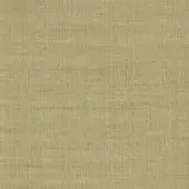 Olive green canvas fabric sample with a tight weave and heathered texture, displaying a label reading “frag > fabric > cat. plus > 53 canvas > canvas 53 414.”