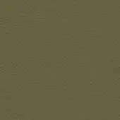 Mottled green texture with granular finish, muted olive tone, and irregular bumpy surface creating a matte, tactile appearance.