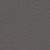 Dark grey leather texture with irregular grain, visible pores, and a matte finish; identified as “frag > leather > tiepolo > dark grey 211.”