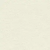 Off-white textured surface resembling stucco, granular finish with tonal variations, matte non-reflective appearance, color “off white 301”.