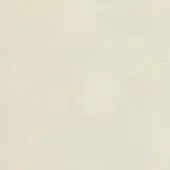 Tiepolo 228 leather texture, oyster white, fine grain pattern, matte finish, subtle tonal variations, natural leather appearance.