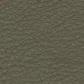 Birch green pebble grain texture, 816, displays a mottled, irregular pattern with a matte finish and subtle depth variation.