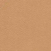 Cinnamon leather texture with a dense pebbled grain, displaying a warm muted tone and matte finish; identified as raffaello cinnamon 405.