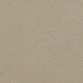 Pine bark texture, desaturated beige and gray, granular matte surface with mottled tone variations resembling natural leather.