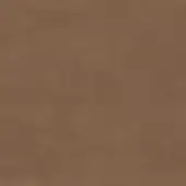 Leather texture, medium brown, mottled grain with matte finish; text reads "frag > leather > 46 leonardo > deer 46 1605" in lower right.