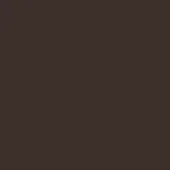 Dark brown solid color background, matte finish, uniform tone, flat composition, consistent surface, no texture, simple visual, subdued presence.
