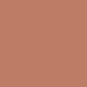 Muted terracotta color field, warm earthy brown tone, matte surface, uniform composition, solid background with subtle reddish undertones.