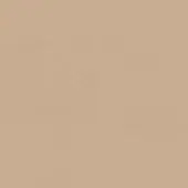 Beige textured surface with granular detail and matte finish, displaying a neutral tone and even illumination throughout the composition.