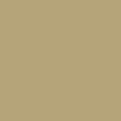 Champagne 460 color swatch, matte finish, solid rectangular composition, muted neutral tone, uniform surface, subtle metallic appearance.