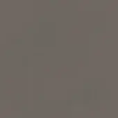 Saddle leather texture sample, muted brown-gray, finely grained surface with slight porosity and a dark spot, labeled “elephant 204”.