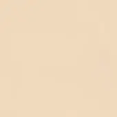 Neutral beige textured surface with a matte finish, displaying a granular, consistent tone and lacking any pattern or visible markings.