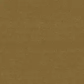 Brushed brass surface with a matte finish, displaying warm gold tones and a fine grain texture, evenly lit in a studio setting.