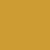 Narcise yellow L919 color swatch, flat uniform surface, warm muted tone, golden-brown hue, digital color representation for design.