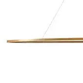 LED pendant light, brushed gold metal, dual concentric rings with diffused warm white illumination and minimalist geometric design.