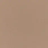 Matt polyethylene surface, RAL 1019 pale yellow, displays a fine granular texture with subtle tonal variations under diffused, even lighting.