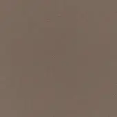 Matt polyethylene surface RAL7006, uniform granular texture, muted dark gray-brown tone, diffused lighting, fine particle distribution, matte finish.