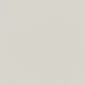 Matt polyethylene surface, RAL9002 light gray, finely granular texture, uniform matte finish, plain background, subtle warmth, solid appearance.