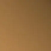 Smooth gradient background transitions from muted brown to warm gold, creating a soft, diffused illumination with even color distribution.