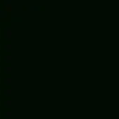 Monochromatic black field with uniform matte tone, even diffused lighting, and no discernible patterns or textures creating a flat visual structure.