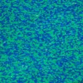 Mottled texture displaying vibrant blue and green hues, with a dense, irregular pattern and scattered light-colored speckles throughout the composition.