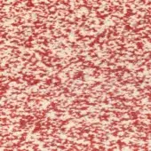Textured surface, vibrant red with off-white speckles, granular pattern, uniformly distributed, even lighting, studio shot, “super red” material.