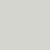Pale gray color swatch with matte finish, displaying RAL 90020 “whitewash” code, smooth surface, and even diffused lighting.